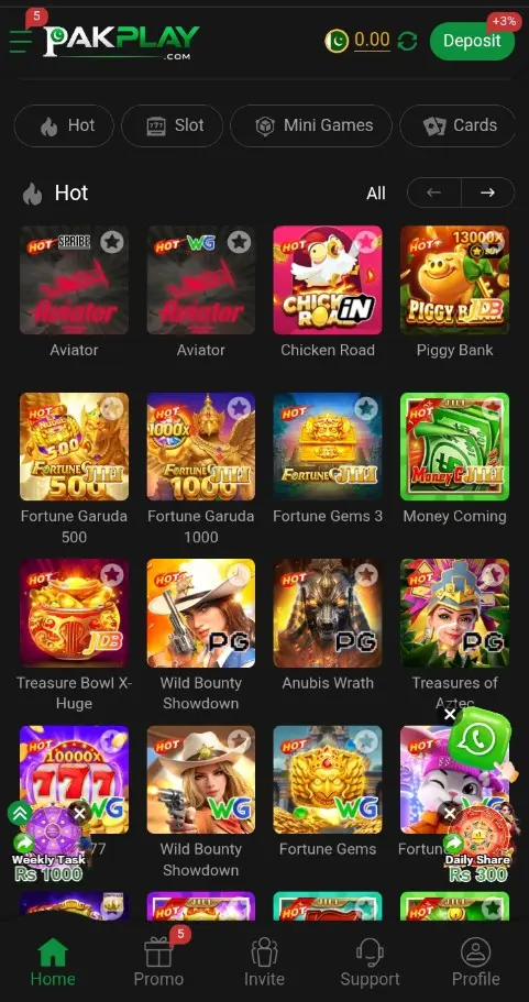 PAKPLAY Game 