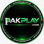 PAKPLAY Game