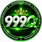 999Q Game Logo